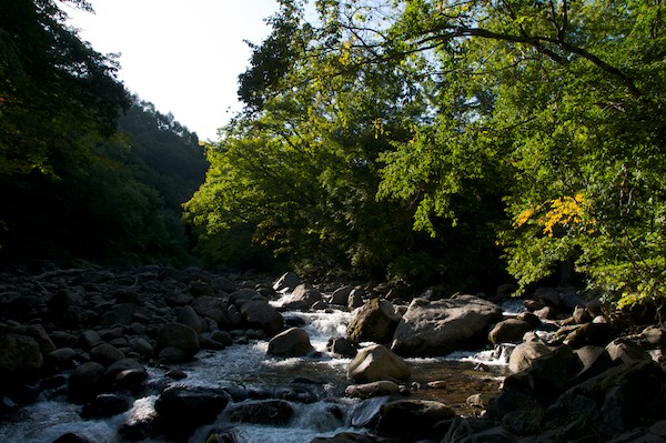 e0122855_11381121.jpg