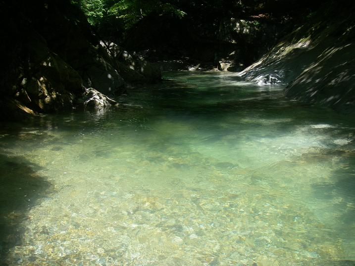 f0212059_22432973.jpg