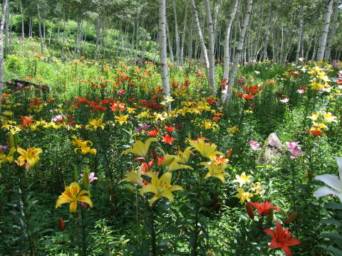 e0088260_2326253.jpg
