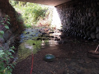 e0066062_115820.jpg