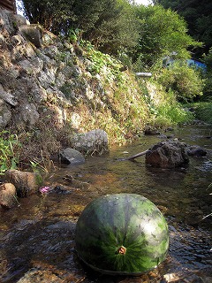 e0066062_122726.jpg