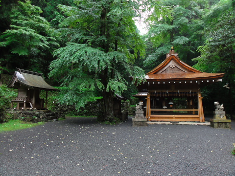 c0071763_1522350.jpg