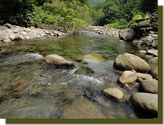 f0224363_2017507.jpg