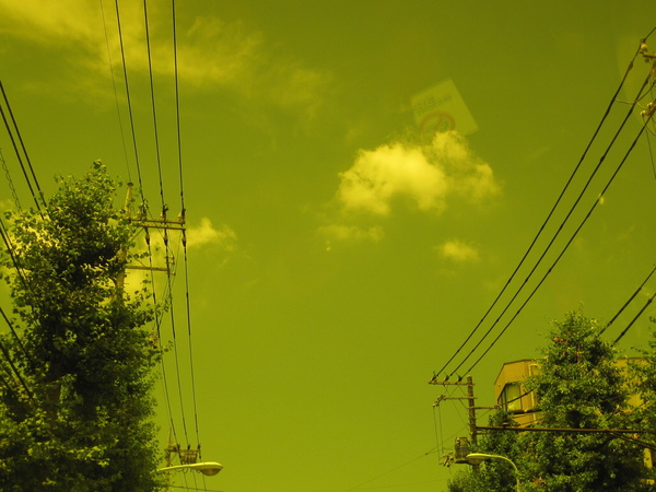a0143465_2175055.jpg
