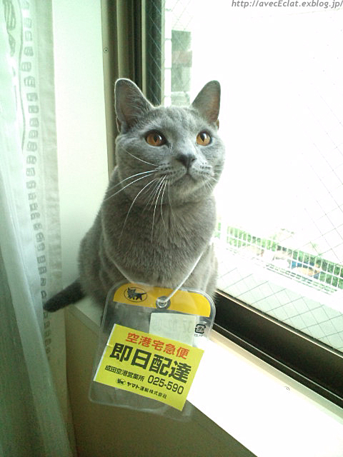 c0200365_0224454.jpg