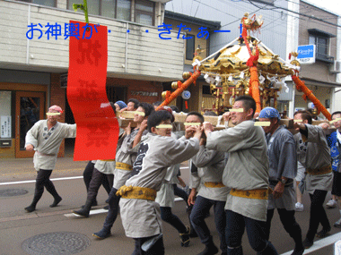 d0050871_2117034.gif