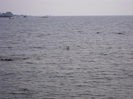 e0107171_5543151.jpg