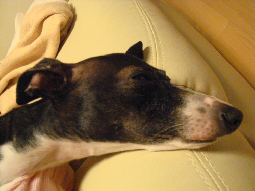 f0223972_7122874.jpg