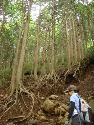 f0171180_22552038.jpg