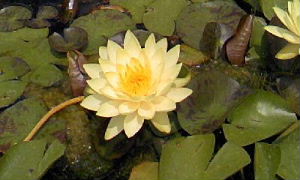 f0005081_1921857.jpg