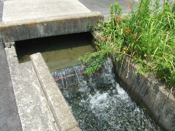 e0074782_023753.jpg