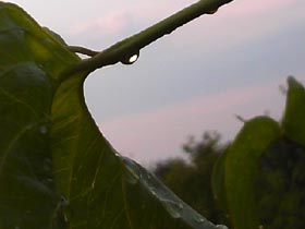 e0184683_2023515.jpg