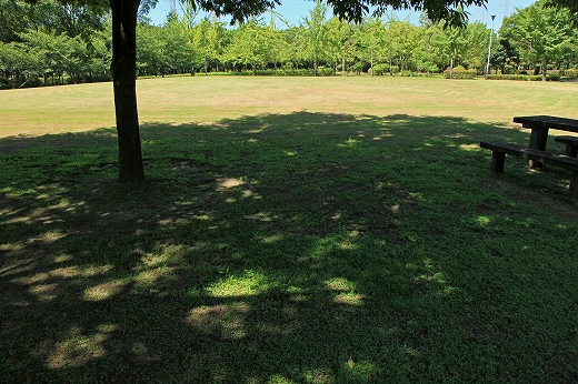 e0190885_19121393.jpg