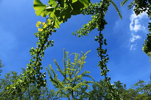 e0190885_19121874.jpg
