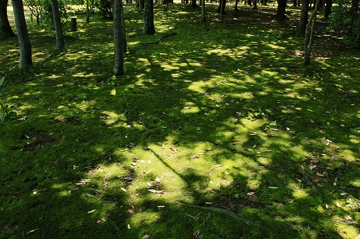 e0190885_19125819.jpg