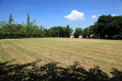 e0190885_1913554.jpg