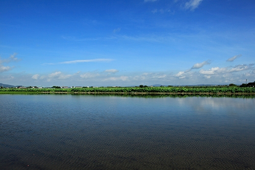e0190885_1991163.jpg