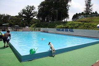 e0121589_072191.jpg