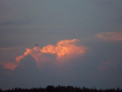 c0123890_2105671.jpg