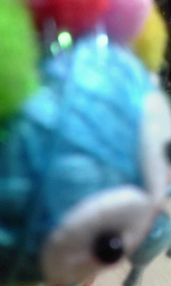 c0189894_20715100.jpg