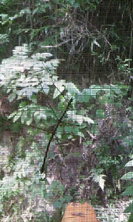 c0189894_2071561.jpg
