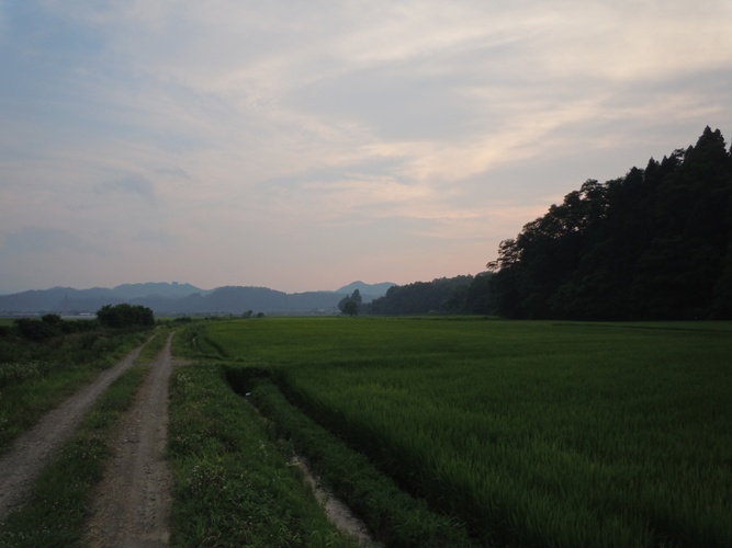 d0085096_2018217.jpg
