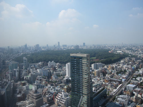 d0056197_209313.jpg