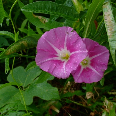 a0031000_18184422.jpg
