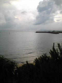 f0154002_236843.jpg
