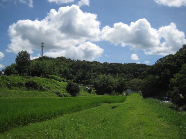 e0183804_20582836.jpg