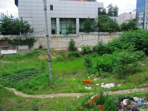 b0194405_20261760.jpg