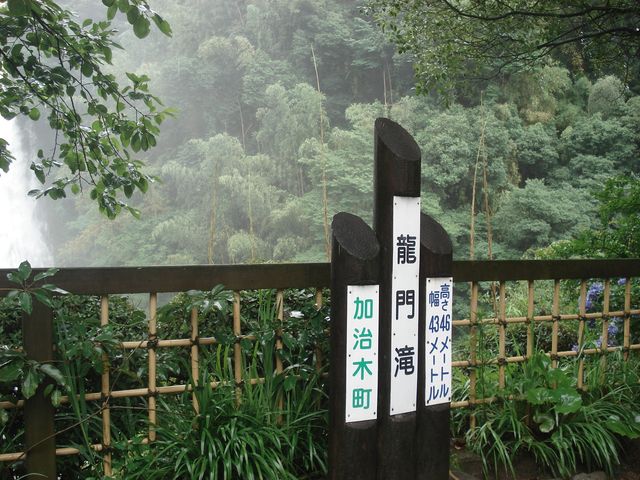f0084806_8545162.jpg