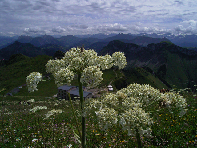 a0030714_6234358.jpg