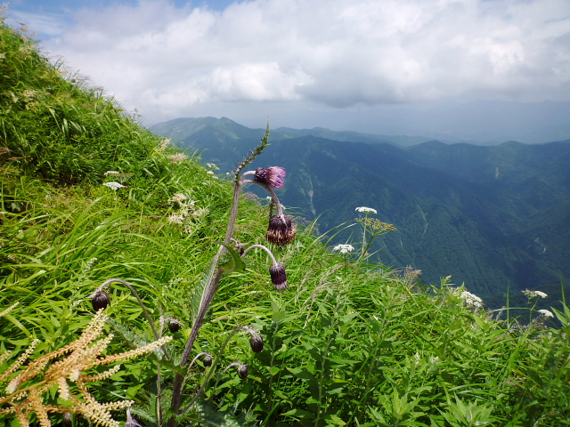 d0170615_5322153.jpg