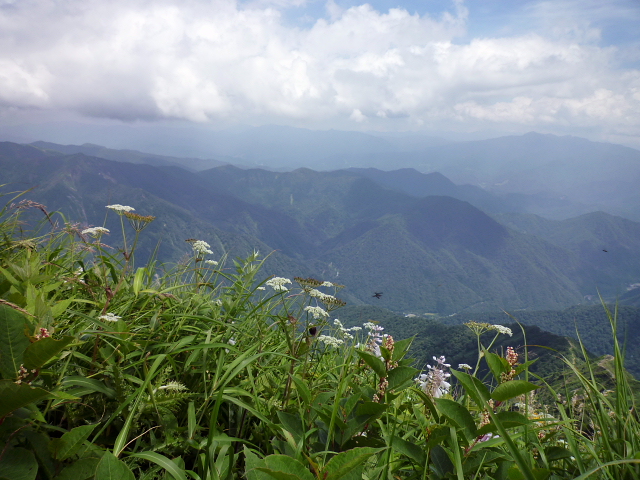 d0170615_5333664.jpg