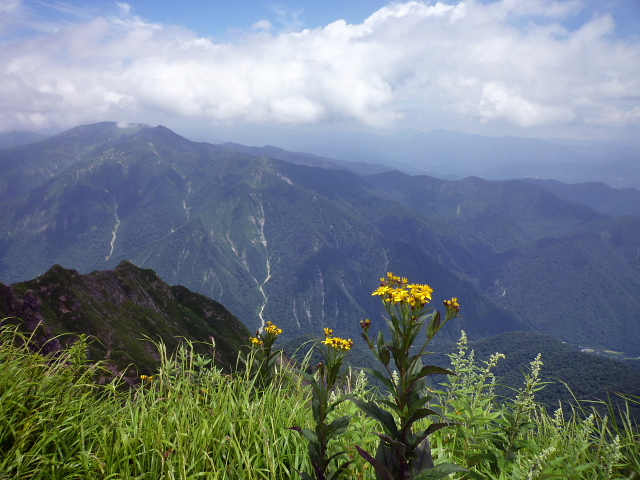 d0170615_6384473.jpg