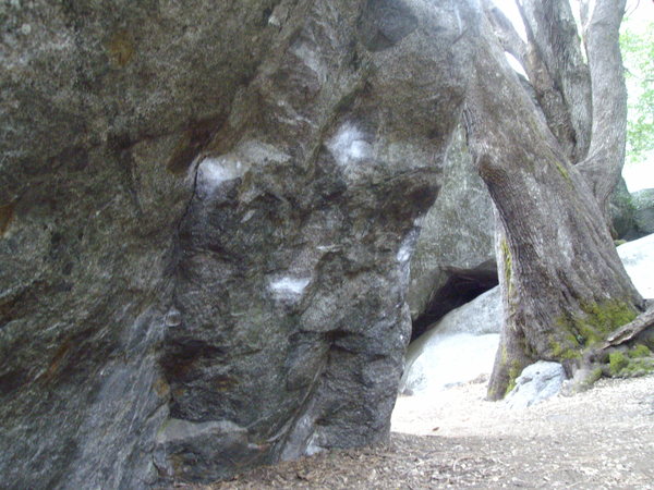 c0210618_0232711.jpg