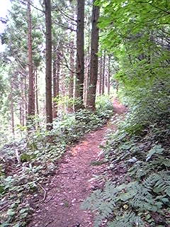 f0028123_011247.jpg
