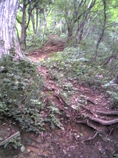 f0028123_03693.jpg