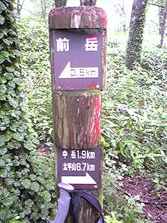 f0028123_093292.jpg