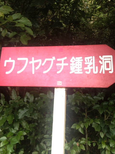 f0197325_1742265.jpg