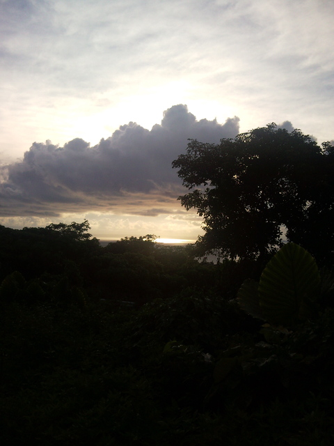f0197325_1774865.jpg