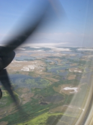c0168927_21405124.jpg