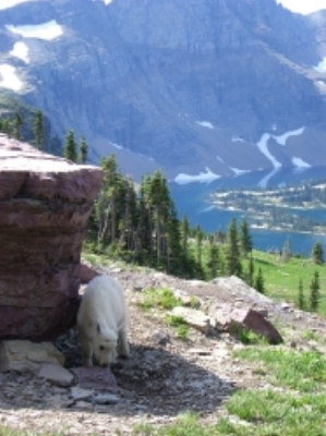 c0168927_2143474.jpg