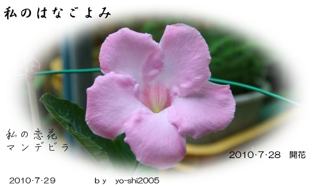 e0033229_18433691.jpg