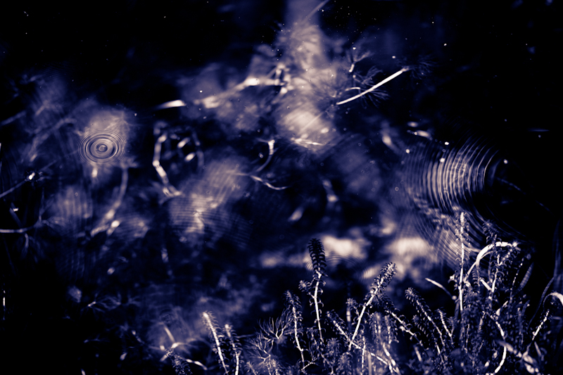 c0216331_6483438.jpg