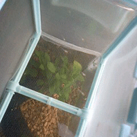 d0048332_13475382.gif