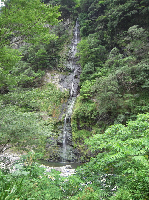 b0025633_20542952.jpg
