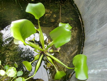c0183137_0505329.jpg