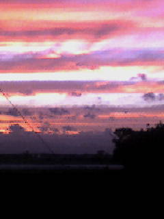 a0163738_13584460.jpg